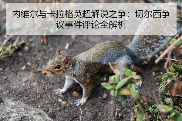 内维尔与卡拉格英超解说之争：切尔西争议事件评论全解析 | lanboesports